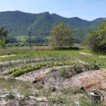 jardin de permaculture